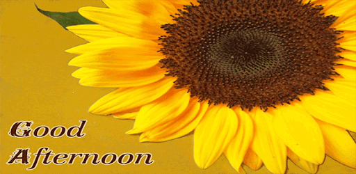 Good Afternoon Messages & Sms PC screenshot Good Afternoon Messages & Sms PC screenshot