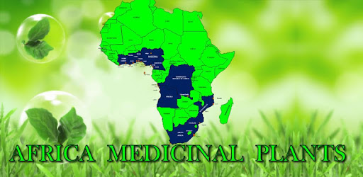 Africa Medicinal Plants PC screenshot Africa Medicinal Plants PC screenshot