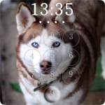 Husky Lock Screen for PC Husky Lock Screen for PC