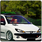 206 Driving Simulator icon