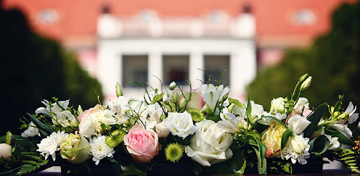 Wedding Planner — Agnesse PC screenshot Wedding Planner — Agnesse PC screenshot