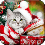 New Year HD (backgrounds & themes) icon