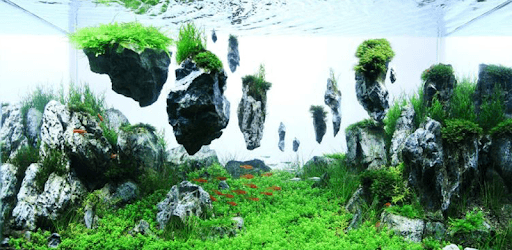 Aquascape Design Galerry PC screenshot