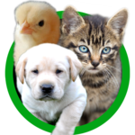 Animal Sounds - Baby Animals for PC