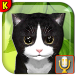 Talking Kittens virtual cat that speaks, take care icon