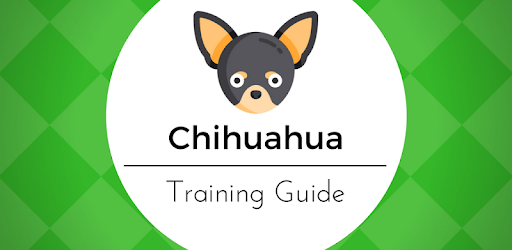 Chihuahua Puppy Training PC screenshot Chihuahua Puppy Training PC screenshot