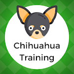 Chihuahua Puppy Training for PC Chihuahua Puppy Training for PC