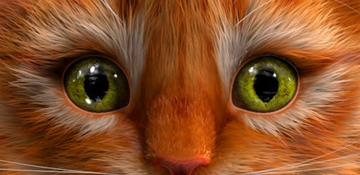 My Kitten (Virtual Pet) PC screenshot My Kitten (Virtual Pet) PC screenshot
