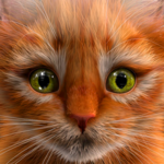 My Kitten (Virtual Pet) for PC My Kitten (Virtual Pet) for PC