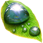 Droplets icon