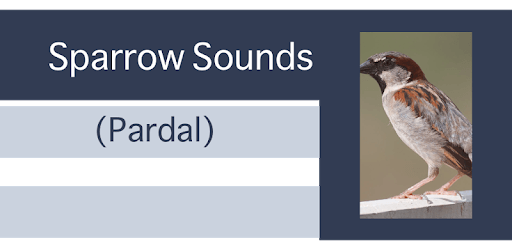 Sparrow Sounds - Pardal PC screenshot Sparrow Sounds - Pardal PC screenshot
