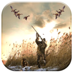 Duck Hunting 3D - Diver Ducks icon