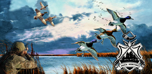 Duck Hunting 3D: Seasons 2017 PC screenshot
