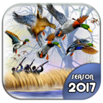 Duck Hunting 3D: Seasons 2017 icon