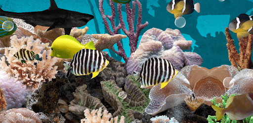 3D Aquarium Live Wallpaper PC screenshot 3D Aquarium Live Wallpaper PC screenshot