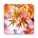 Beautiful Autumn Live Wallpaper icon