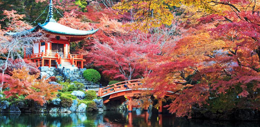 Zen Garden Live Wallpaper PC screenshot Zen Garden Live Wallpaper PC screenshot