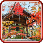 Zen Garden Live Wallpaper for PC Zen Garden Live Wallpaper for PC