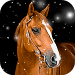 Horse Wallpaper HD : backgrounds & themes for PC