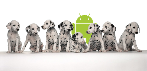 Age Calculator canine free PC screenshot Age Calculator canine free PC screenshot