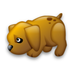 Age Calculator canine free for PC Age Calculator canine free for PC