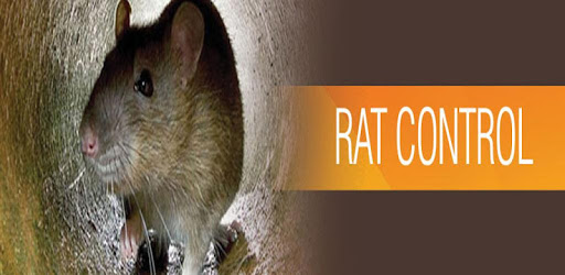 Anti Rat Repeller PC screenshot