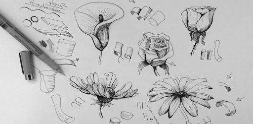 Flower PC screenshot Flower PC screenshot