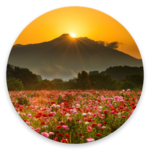 Sunrise Landscape Wallpaper for PC Sunrise Landscape Wallpaper for PC