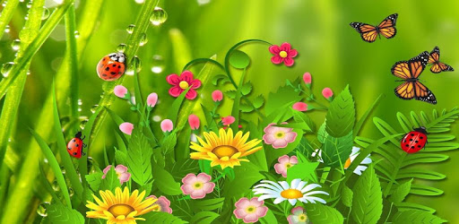 Spring Nature Wallpapers HD PC screenshot