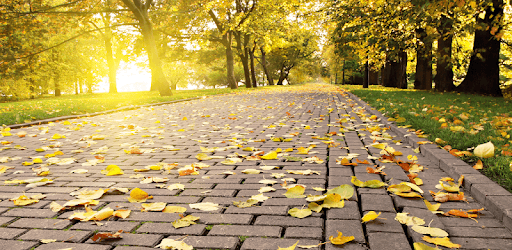 Falling Leaf Wallpaper PC screenshot Falling Leaf Wallpaper PC screenshot