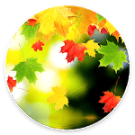 Falling Leaf Wallpaper for PC Falling Leaf Wallpaper for PC