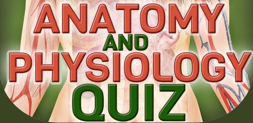 Human Body Anatomy Quiz PC screenshot