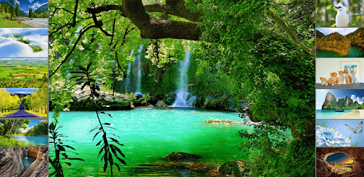 10000 Nature Wallpapers PC screenshot 10000 Nature Wallpapers PC screenshot