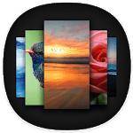 Apex Wallpaper - WhatsApp Wallpapers&Touch Effect icon