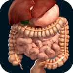 Internal Organs in 3D (Anatomy) icon