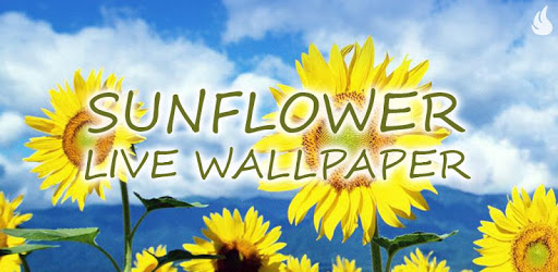 Sunflower Live Wallpaper PC screenshot Sunflower Live Wallpaper PC screenshot