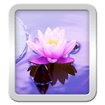 Wallpapers Zen for PC Wallpapers Zen for PC