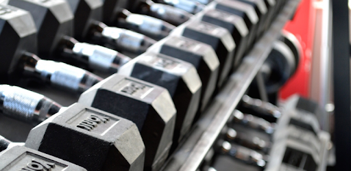 Dumbbell Exercises PC screenshot Dumbbell Exercises PC screenshot