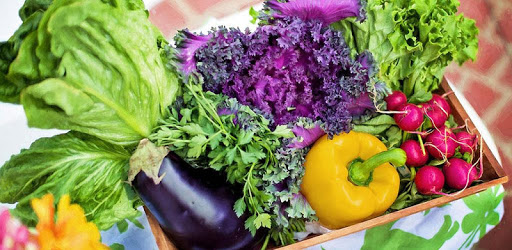 Weight Loss 7 Day Diet Plan PC screenshot