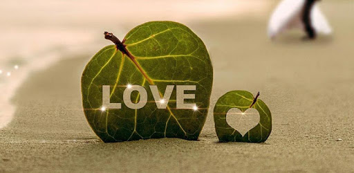 Love Wallpapers HD PC screenshot