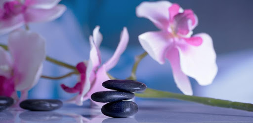 Meditation Music Free PC screenshot Meditation Music Free PC screenshot