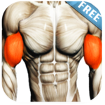 Biceps Workout for PC