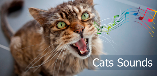 Cats sounds PC screenshot Cats sounds PC screenshot