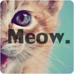 Cats sounds for PC Cats sounds for PC