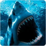 Shark Wallpapers for PC Shark Wallpapers for PC