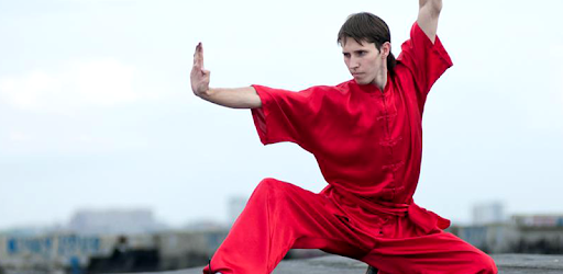Learn Kung Fu Training PC screenshot
