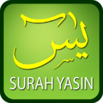 Yaseen MP3 Offline icon