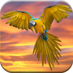 Bird Sounds Free for PC