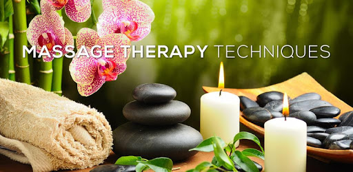 Massage Therapy Techniques PC screenshot