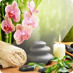 Massage Therapy Techniques for PC